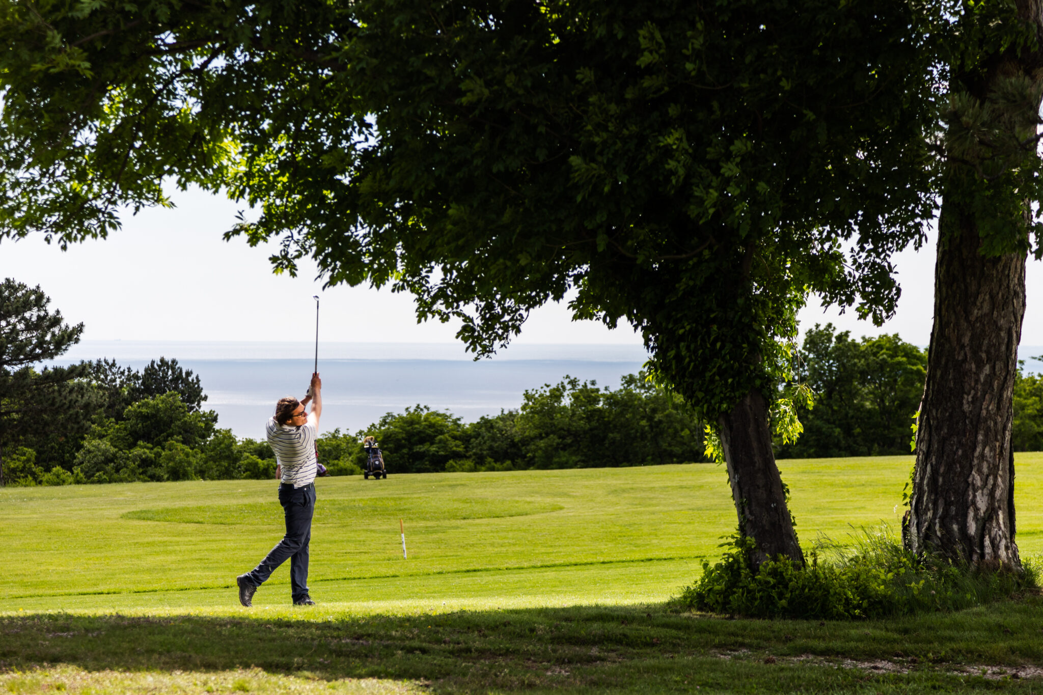 Golf Trieste, (c) Demis Albertacci