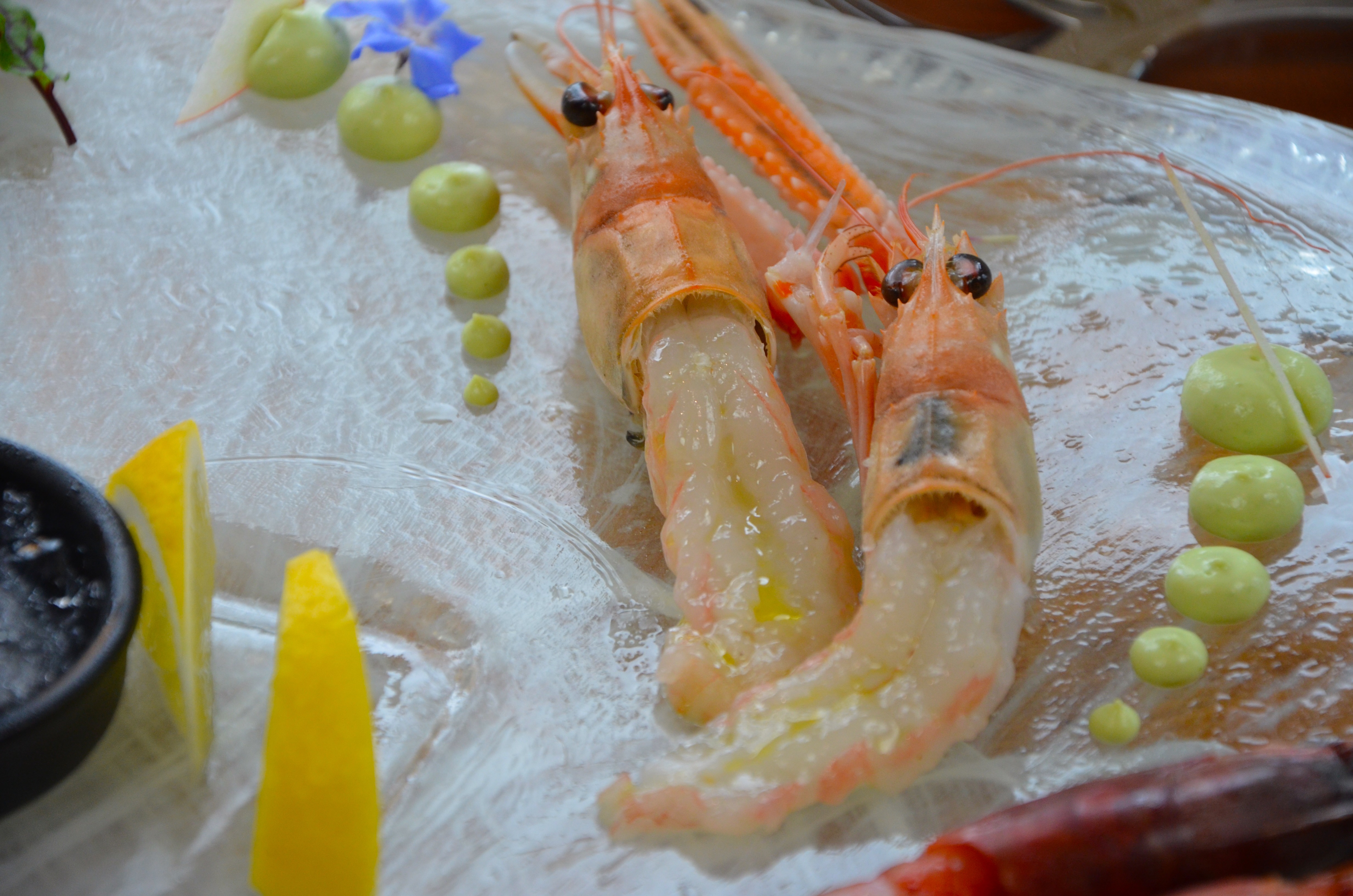 Fischfilet auf Zitronenspiegel mit Kräuterdekor